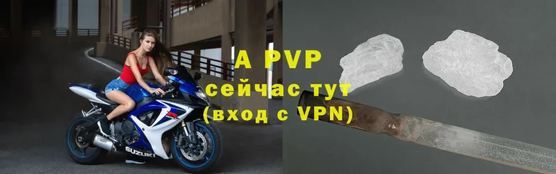 Alfa_PVP СК  Кинешма 