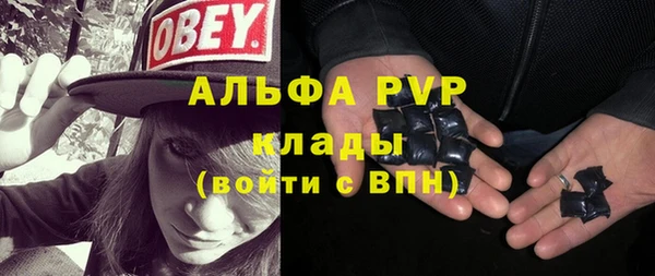 хмурый Верея